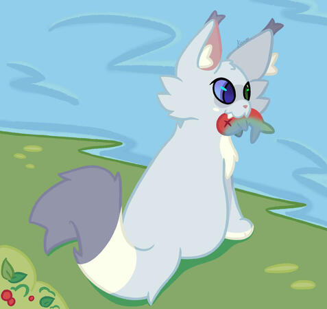 Full + Detailed BG 1